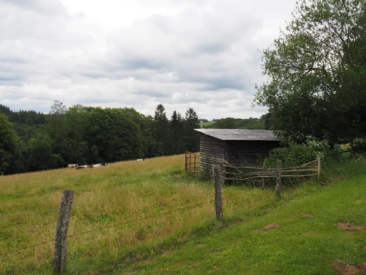 Coulnifontaine (Belgium) (confluence western and eastern Ourthe)